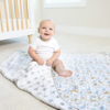 Aden and Anais Natural History Species Blanket